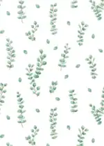 Teacher Created Resources Eucalyptus Better Than Paper Bulletin Board Roll - Image 2