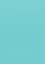 Everyday household item