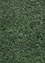 Teacher Created Resources Boxwood Better Than Paper Bulletin Board Roll (TCR77448) – Image 2